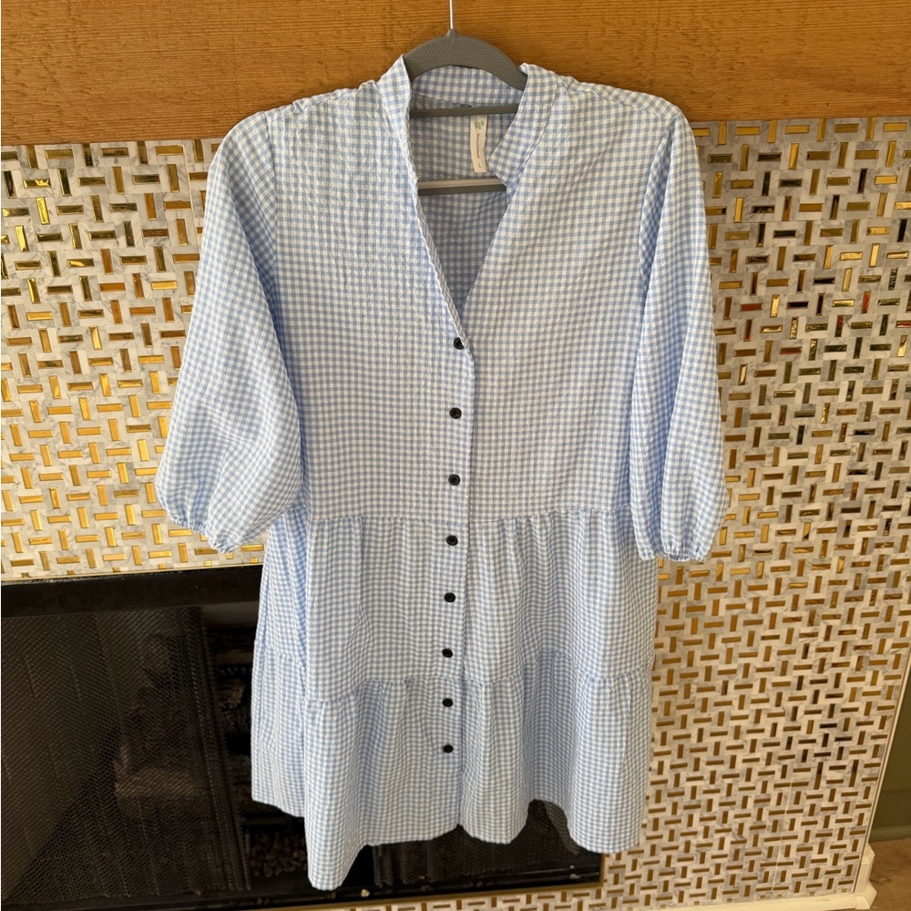 Blue Gingham Button-Down Dress